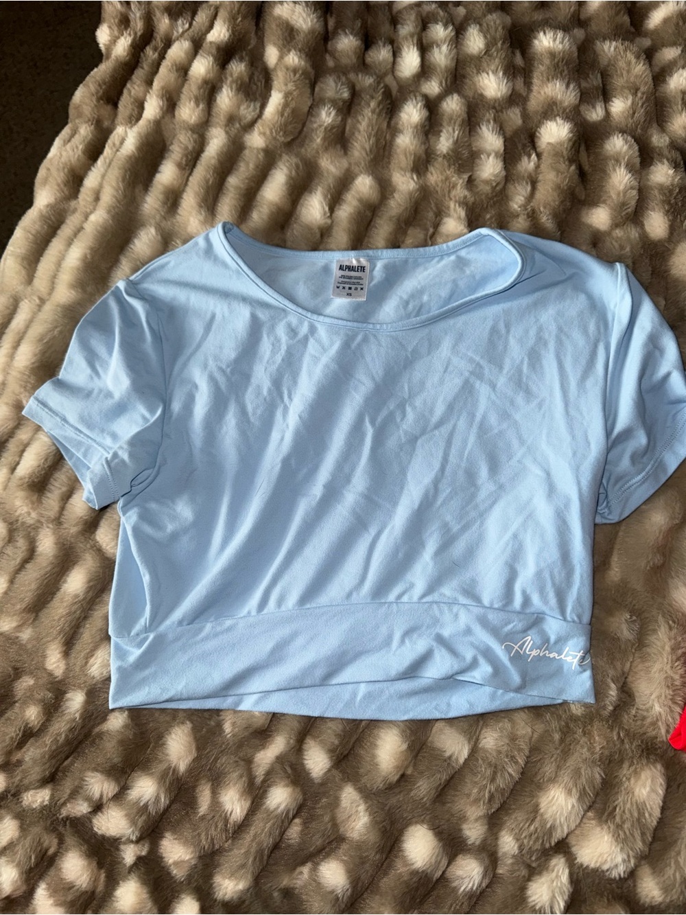Alphalete Pale Blue Women's Cropped Tee